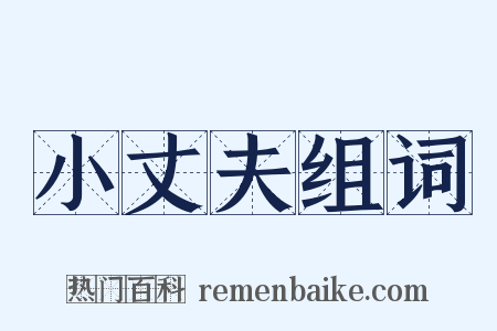 小丈夫组词是什么意思的图片